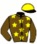 casaque portée par Lecanu F. jockey du cheval de course DE LA CHENEVIERE, information pmu ZETURF