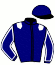 casaque portée par Bertrand D. jockey du cheval de course EAGLE MESLOIS, information pmu ZETURF