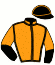 casaque portée par Raffin E. jockey du cheval de course EASTWOOD PARK, information pmu ZETURF