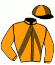 casaque portée par Lecoq Mme Lou A. jockey du cheval de course GUIGNOL DES FORGES, information pmu ZETURF