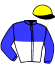 casaque portée par Lebourgeois Y. jockey du cheval de course JOKER DE BELLOU, information pmu ZETURF