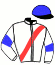 casaque portée par Bigeon Ch. J. jockey du cheval de course KASTING HAUFOR, information pmu ZETURF
