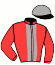 casaque portée par Lebourgeois Y. jockey du cheval de course GOLD DAIRPET, information pmu ZETURF