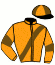 casaque portée par Bridault M. jockey du cheval de course HADRIEN MERITE, information pmu ZETURF