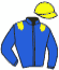 casaque portée par Colas Mlle M. jockey du cheval de course LIKE A BIRD STAR, information pmu ZETURF