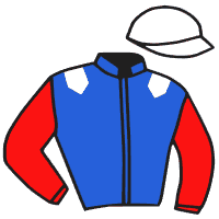 casaque portée par Verva M. jockey du cheval de course IPSO DU FER, information pmu ZETURF