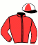 casaque portée par Abrivard M. jockey du cheval de course GAGNANT DE BRIKVIL, information pmu ZETURF