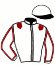 casaque portée par Sorel J. Ch. jockey du cheval de course HORIZON DE BRY, information pmu ZETURF