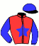 casaque portée par Briand Thé. jockey du cheval de course KARLA DES COURTILS, information pmu ZETURF