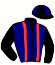 casaque portée par Fournigault G. jockey du cheval de course KALINE DU RABUTIN, information pmu ZETURF