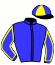 casaque portée par Lemetayer V. jockey du cheval de course JOLISSIME ELDE, information pmu ZETURF