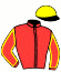 casaque portée par Tugend G. jockey du cheval de course JASMINE DANCER, information pmu ZETURF