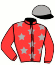 casaque portée par Huguet Mme C. jockey du cheval de course HEROS DES LOYAUX, information pmu ZETURF