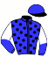 casaque portée par Lebouc Hug. jockey du cheval de course REGARDE MOI, information pmu ZETURF
