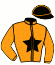 casaque portée par David L. M. jockey du cheval de course IVAN DE L'AUNAY, information pmu ZETURF