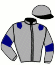 casaque portée par Nicolaysen E. jockey du cheval de course EISHIRO DEM'S, information pmu ZETURF