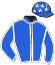 casaque portée par Le Gall F. jockey du cheval de course FUEGO MAZA, information pmu ZETURF