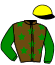 casaque portée par Raulline Emil. jockey du cheval de course KAOLIN MOUROTAIS, information pmu ZETURF