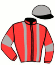 casaque portée par Lepennetier Q. jockey du cheval de course LOCMARIA JEWEL, information pmu ZETURF