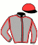 casaque portée par Ploquin P. Ph. jockey du cheval de course FRAGONARD, information pmu ZETURF