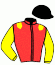 casaque portée par De Vaugiraud A. jockey du cheval de course HANDEL TURGOT, information pmu ZETURF