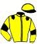 casaque portée par Cinier D. jockey du cheval de course KATIA EL SOL, information pmu ZETURF