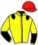 casaque portée par Ensch N. jockey du cheval de course JALISKA VICI, information pmu ZETURF