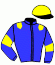 casaque portée par Belleveaux J. jockey du cheval de course HURRICANE FRANCE, information pmu ZETURF
