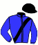 casaque portée par Tribolet Cal. jockey du cheval de course INTO THE MYSTIC, information pmu ZETURF
