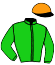 casaque portée par Puillet-roda Emi. jockey du cheval de course PERROU, information pmu ZETURF