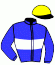 casaque portée par Grandin M. jockey du cheval de course GALGAN, information pmu ZETURF