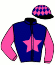 casaque portée par Bonnafoux L. jockey du cheval de course INES DU VAAL, information pmu ZETURF