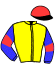 casaque portée par Godey Mme Hél. jockey du cheval de course FURIOSO DE WATOU, information pmu ZETURF