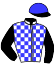 casaque portée par Bizoux Mlle E. jockey du cheval de course ESPRIT D'OEILLET, information pmu ZETURF