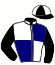 casaque portée par Giard F. jockey du cheval de course INDIGO BLUE, information pmu ZETURF