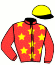 casaque portée par Devouassoux Tan. jockey du cheval de course IDEAL DU MIDI, information pmu ZETURF