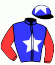 casaque portée par Koubiche Jér. jockey du cheval de course HAPPY DU PARC, information pmu ZETURF