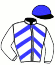casaque portée par Van Den Putte Jr J. jockey du cheval de course GORLANDO STEED, information pmu ZETURF