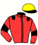 casaque portée par Desoutter Mlle N. jockey du cheval de course JOLIE VILLE, information pmu ZETURF