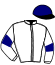 casaque portée par Meyer Mlle M. jockey du cheval de course ALEZIA, information pmu ZETURF