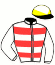 casaque portée par Delozier L. jockey du cheval de course SEGERA, information pmu ZETURF