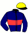 casaque portée par Champier G. jockey du cheval de course SHALEZ, information pmu ZETURF