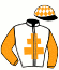 casaque portée par Rocher S. jockey du cheval de course DIEGO D'ELISE (FR), information pmu ZETURF