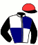 casaque portée par Bonne D. jockey du cheval de course ISSU DE CORTEM, information pmu ZETURF