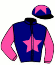 casaque portée par Huchede T. jockey du cheval de course GRANDE MALICE, information pmu ZETURF