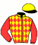 casaque portée par Seoane-gil M. jockey du cheval de course FILLE D'ARGENT (FR), information pmu ZETURF
