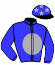 casaque portée par Riehl Mme M. jockey du cheval de course ANOTHER HOT TOPIC, information pmu ZETURF
