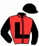 casaque portée par Rebeche A. jockey du cheval de course FOLLOW JOSSELYN, information pmu ZETURF