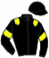 casaque portée par Gelormini G. jockey du cheval de course LAURA DE MAI, information pmu ZETURF