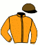 casaque portée par Julliot R. jockey du cheval de course HARDERIE, information pmu ZETURF
